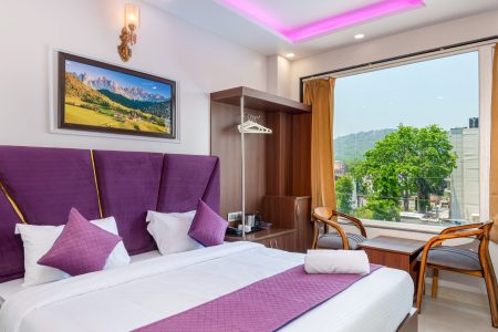 Deluxe Room City View